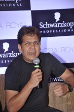 at Schwarzkopf Professional Essential looks 2013 in Mumbai on 8th July 2013 (7).JPG